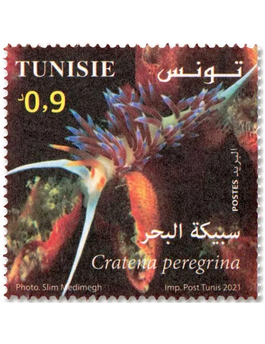 n° 1950/1953 - Timbre TUNISIE Poste