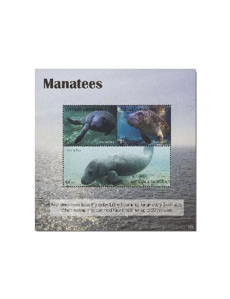 n° 5041/5043 - Timbre ANTIGUA Poste