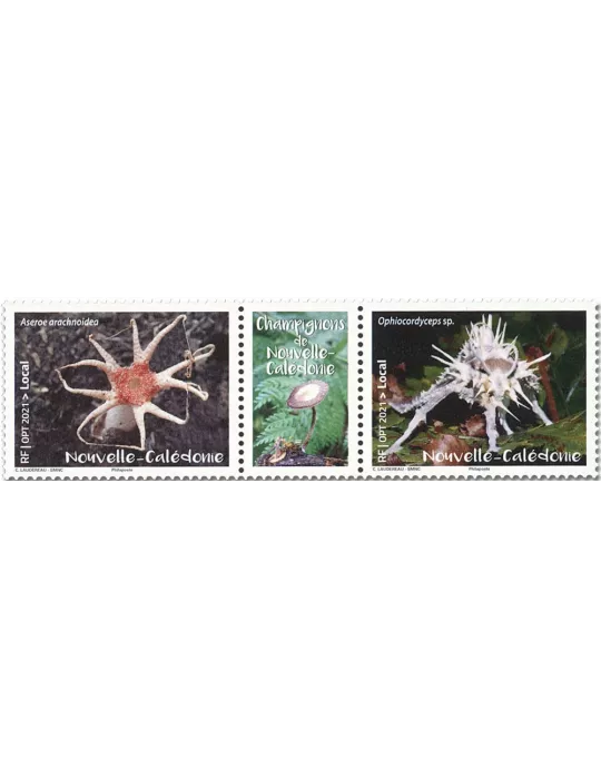 n° 1405/1406 - Timbre Nlle Calédonie Poste