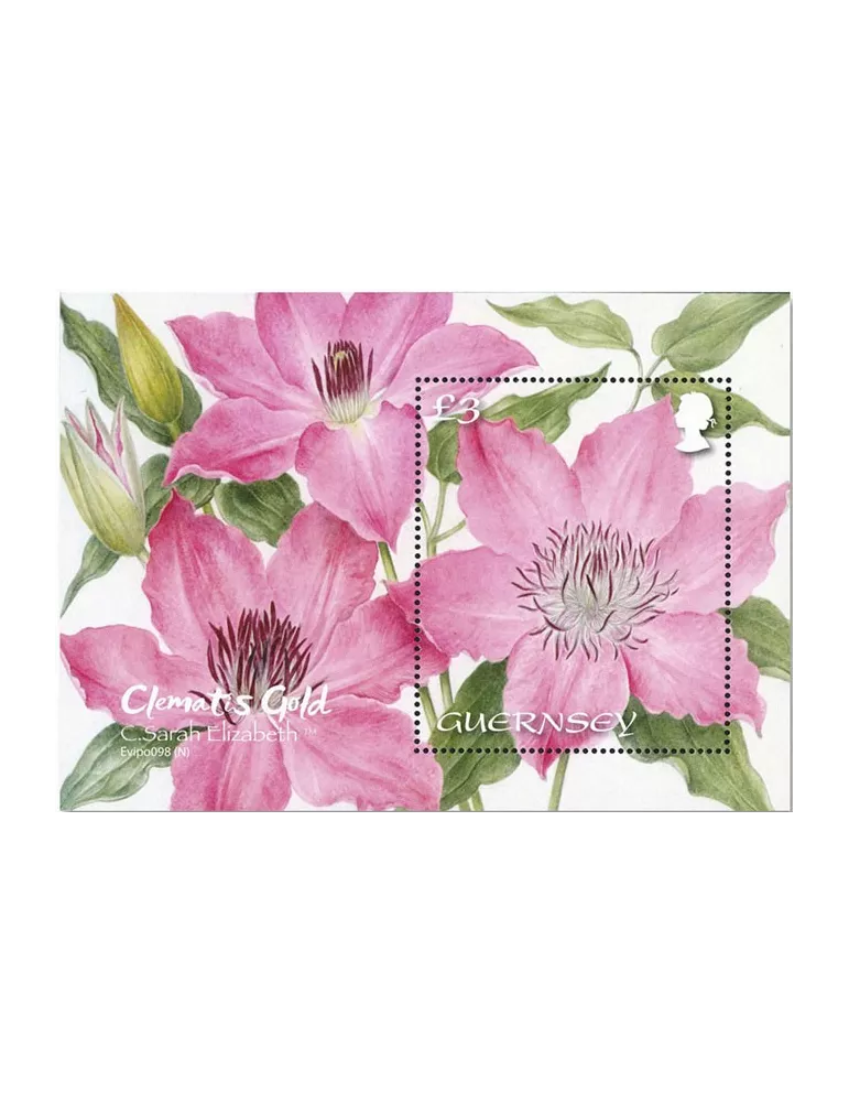 n° F1837 - Timbre GUERNESEY Poste