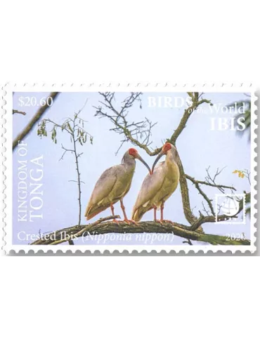 n° 1598/1601 - Timbre TONGA Poste 2