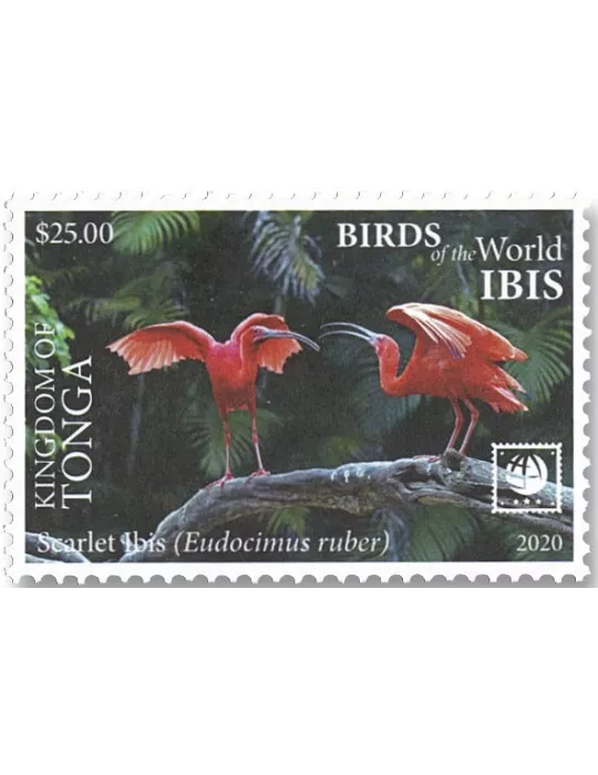 n° 1598/1601 - Timbre TONGA Poste