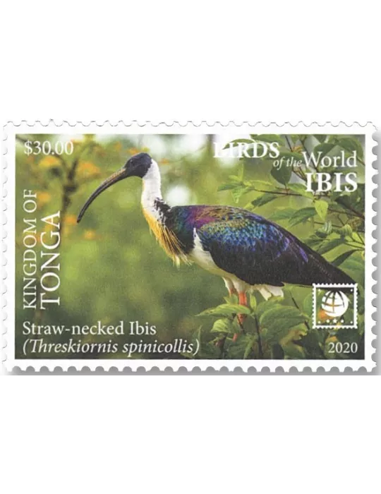 n° 1598/1601 - Timbre TONGA Poste