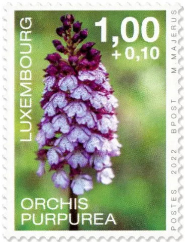 n° 2261/2264 - Timbre LUXEMBOURG Poste