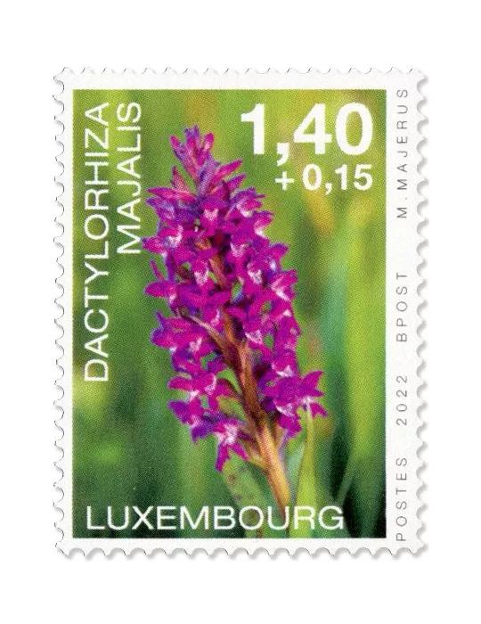 n° 2261/2264 - Timbre LUXEMBOURG Poste