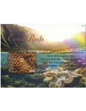 n° 726 - Timbre GRENADINES Blocs et feuillets