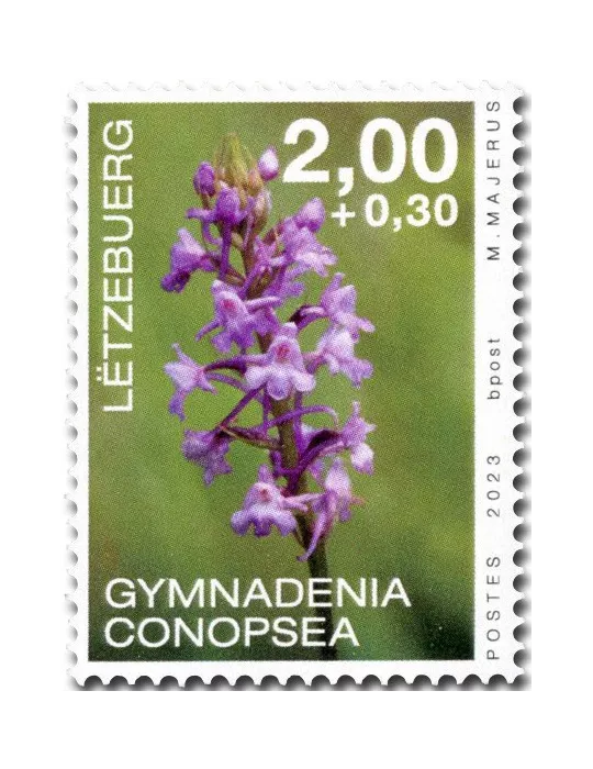 n° 2290/2293 - Timbre LUXEMBOURG Poste