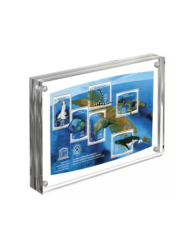 CADRE IMAGO : Cadre photo acrylic (152x203 mm / 6x8 inches) - Yvert et Tellier