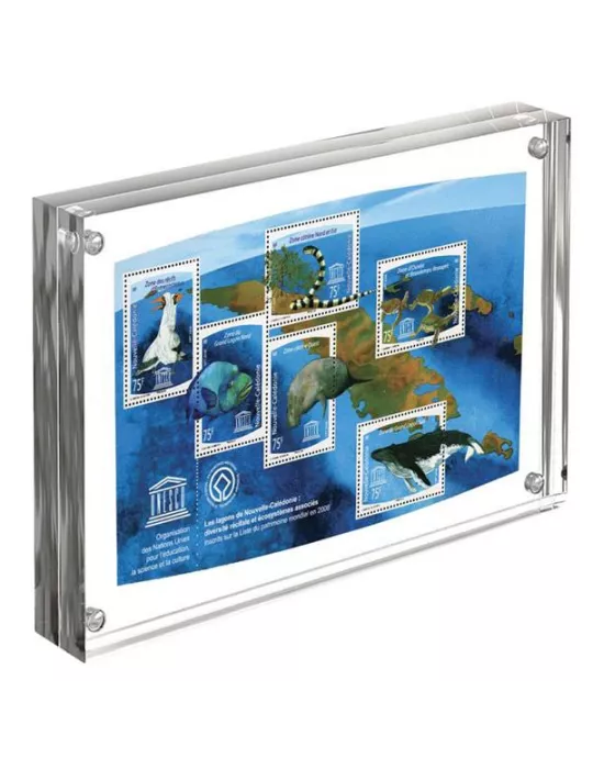 CADRE IMAGO : Cadre photo acrylic (152x203 mm / 6x8 inches) - Yvert et Tellier