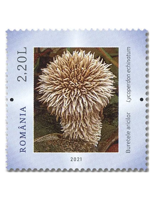 n° 6708/6713 - Timbre ROUMANIE Poste