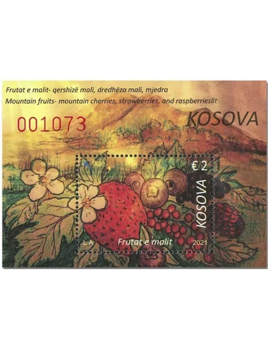 n° 48 - Timbre KOSOVO Blocs et feuillets