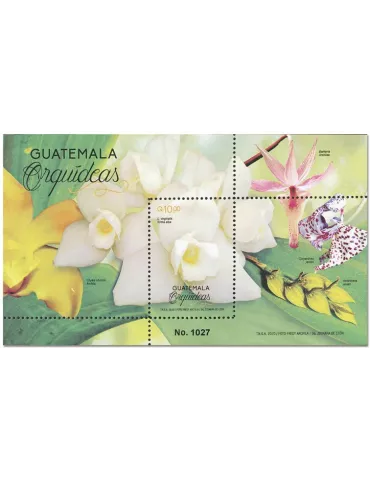 n° 47 - Timbre GUATEMALA Blocs et feuillets