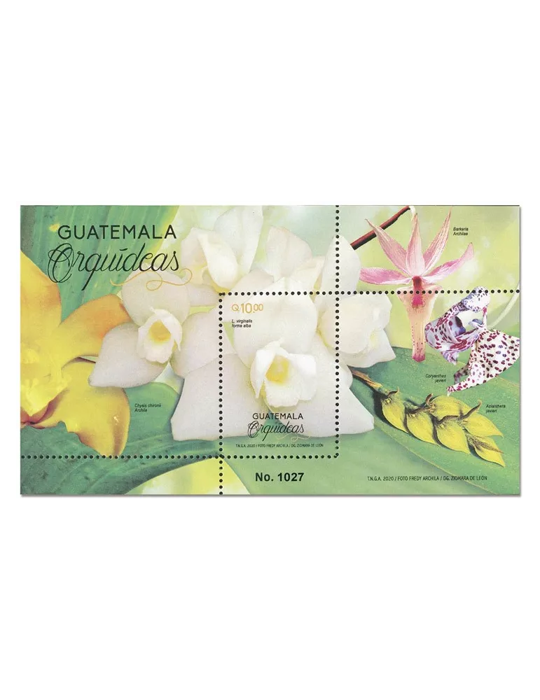 n° 47 - Timbre GUATEMALA Blocs et feuillets