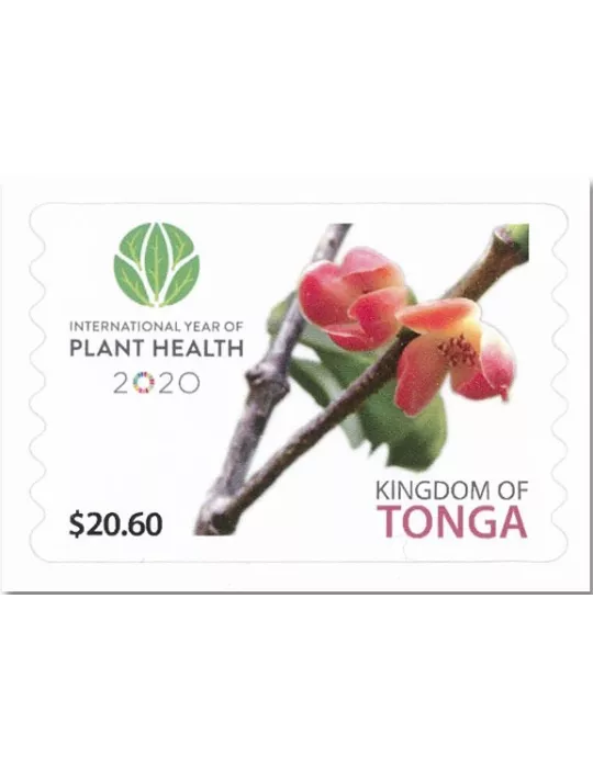 n° 1672/1673 - Timbre TONGA Poste