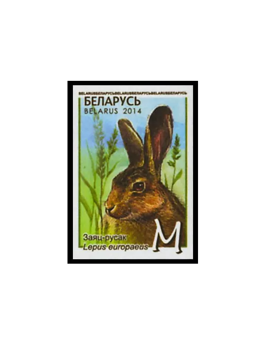 n° 879/883 - Timbre BIELORUSSIE Poste