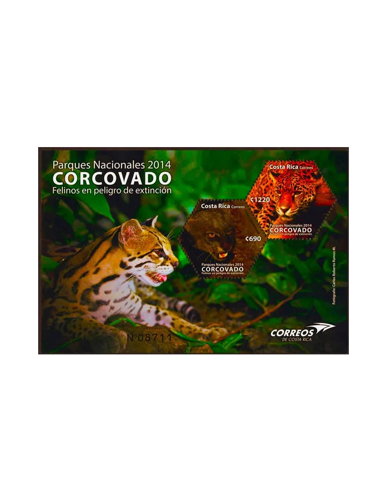 n° 34 - Timbre COSTA RICA Blocs et feuillets