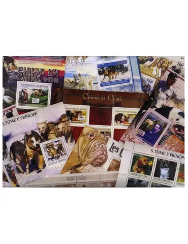 CHIENS : pochette de 40 timbres (Neufs)