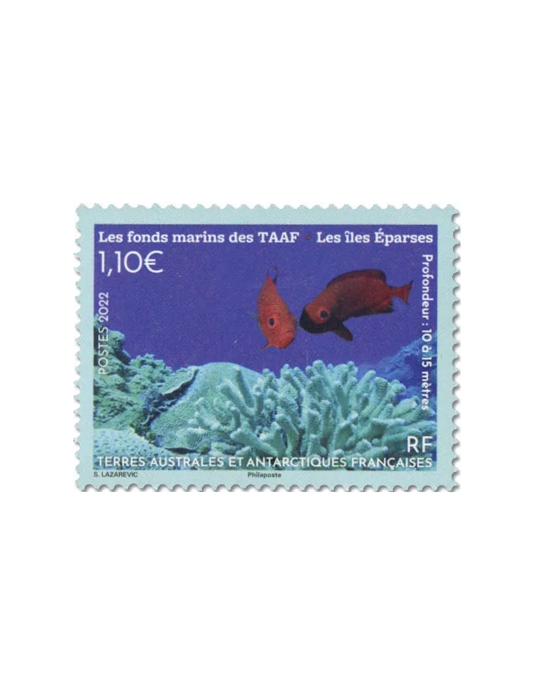 n° 1005 - Timbre TAAF Poste