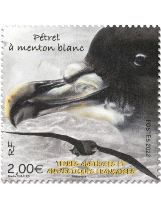 n° F1008 - Timbre TAAF Poste