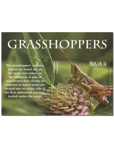 n° 309 - Timbre TUVALU Blocs et feuillets