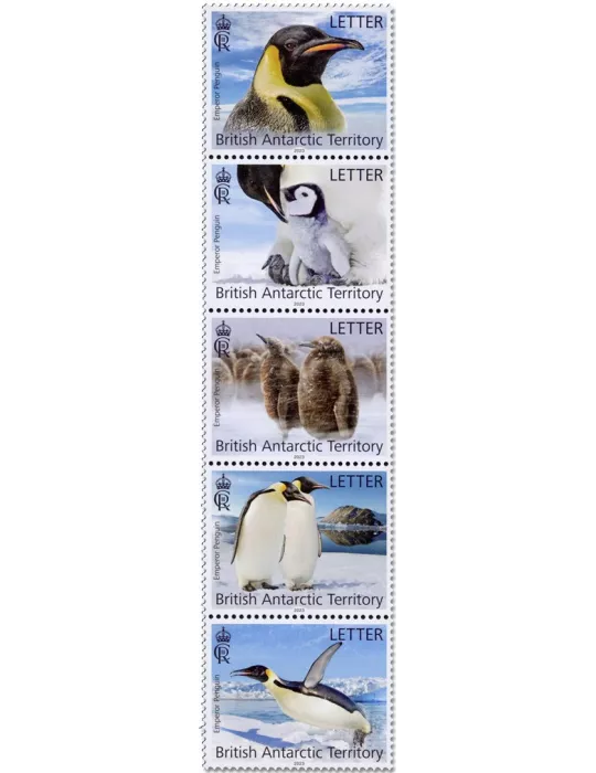 n° 830/834 - Timbre ANTARCTIQUE BRITANNIQUE Poste
