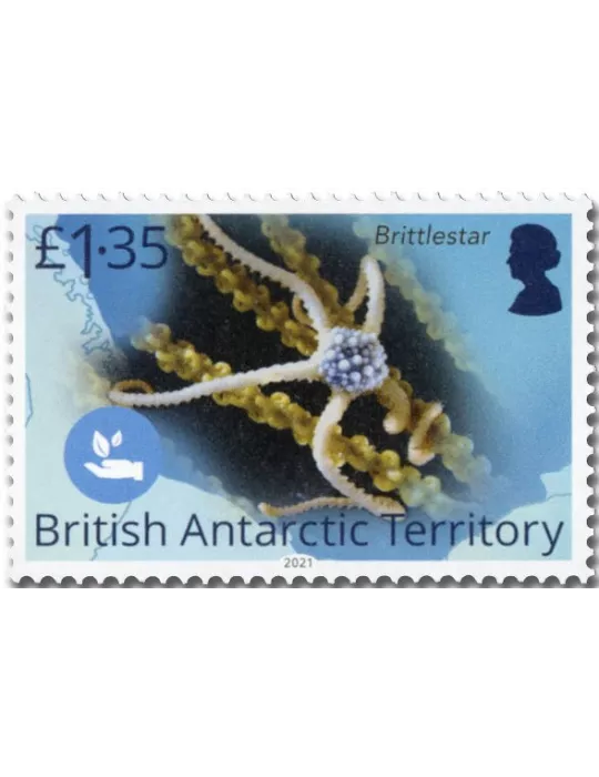 n° 780/783 - Timbre ANTARCTIQUE BRITANNIQUE Poste