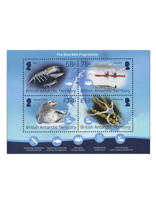 n° 28 - Timbre ANTARCTIQUE BRITANNIQUE Blocs et feuillets