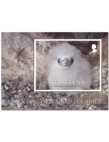 n° 71 - Timbre SAINTE-HELENE Blocs et feuillets