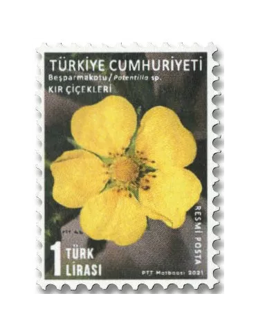n° 406/410 - Timbre TURQUIE Timbres de service