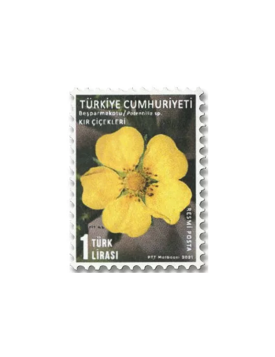 n° 406/410 - Timbre TURQUIE Timbres de service
