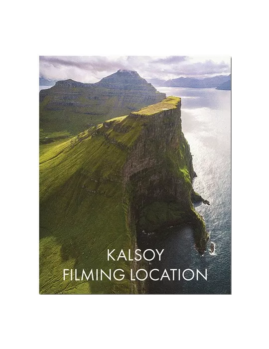 n° C1031 - Timbre ILE FEROE Carnets