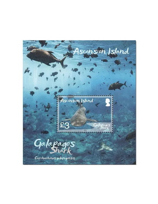 n° 84 - Timbre ASCENSION Blocs et feuillets