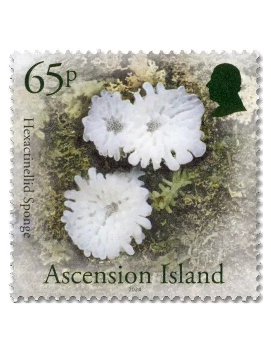 n° 1267/1270 - Timbre ASCENSION Poste