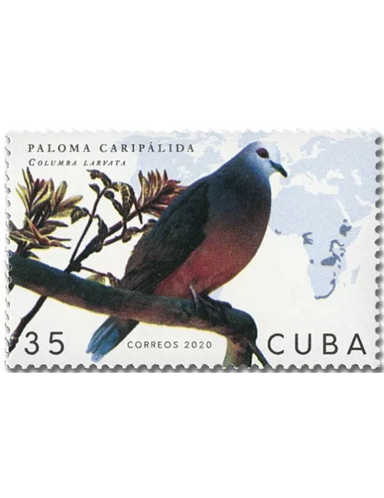 n° 5911/5916 - Timbre CUBA Poste