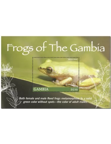 n° 963 - Timbre GAMBIE Blocs et feuillets