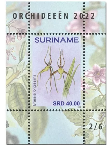 n° 189 à 194 - Timbre SURINAM Blocs et feuillets 2