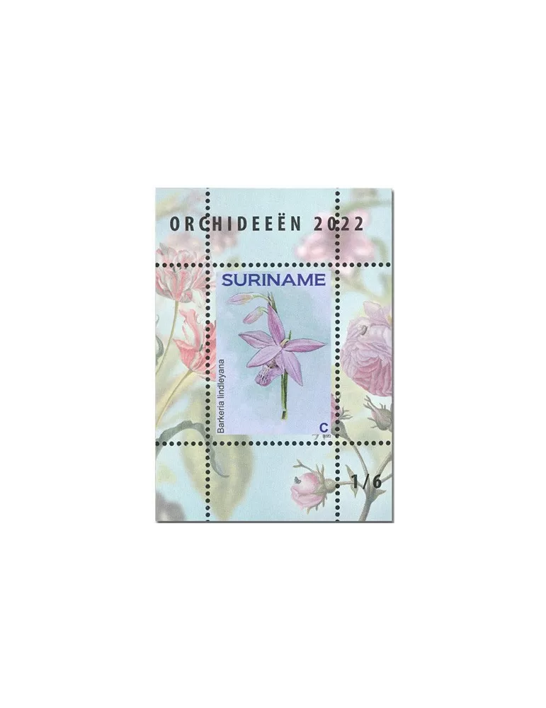 n° 189 à 194 - Timbre SURINAM Blocs et feuillets