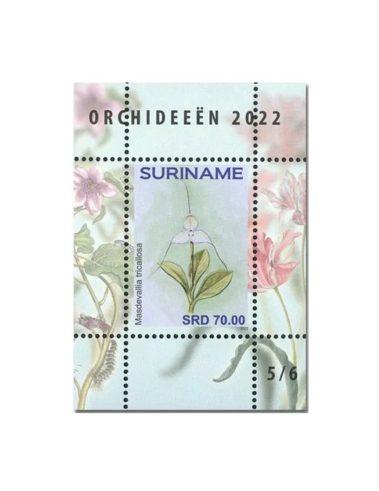 n° 189 à 194 - Timbre SURINAM Blocs et feuillets