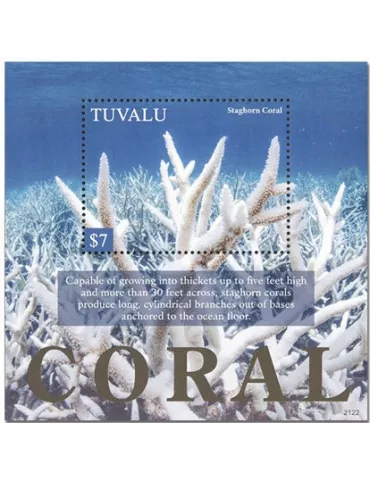 n° 315 - Timbre TUVALU Blocs et feuillets