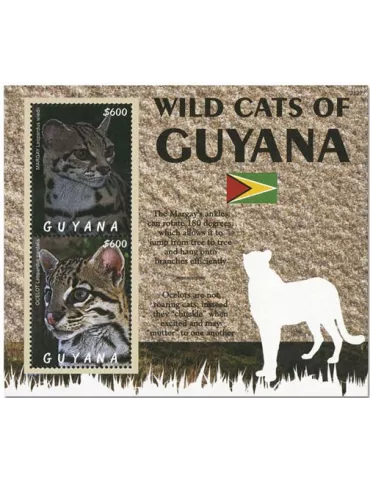 n° 719 - Timbre GUYANA Blocs et Feuillets