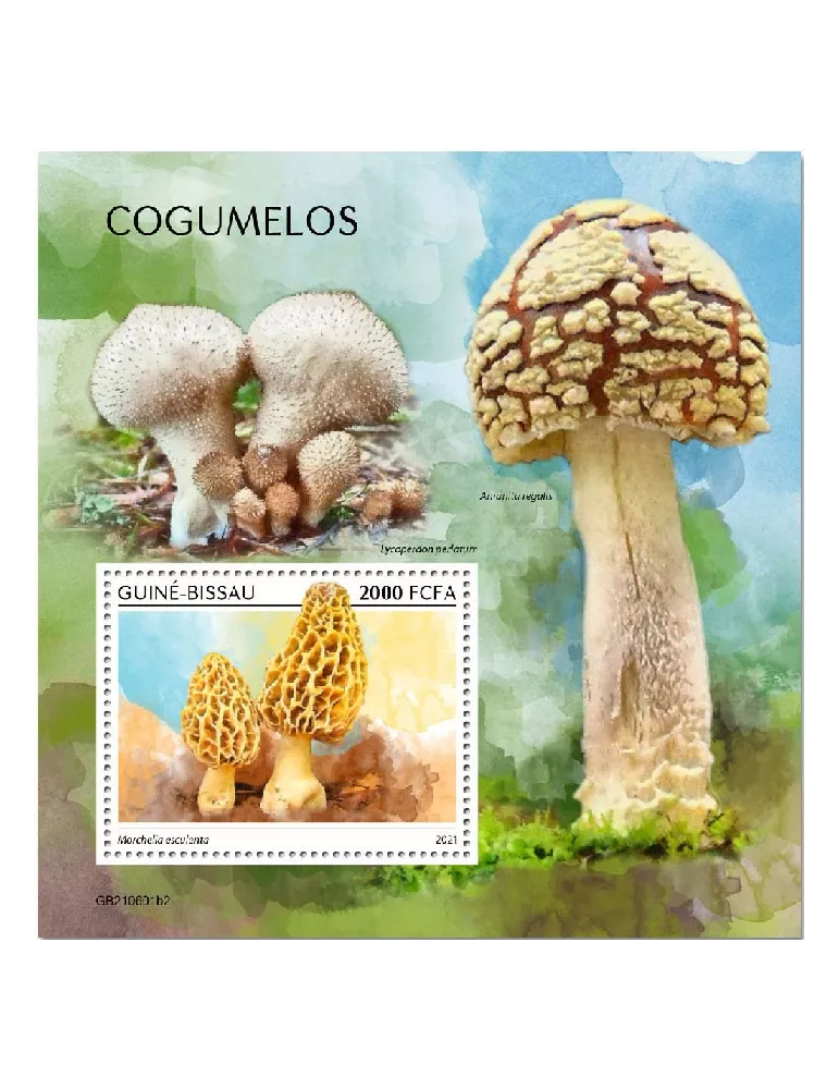 n° 1889 - Timbre GUINEE-BISSAU Blocs et feuillets