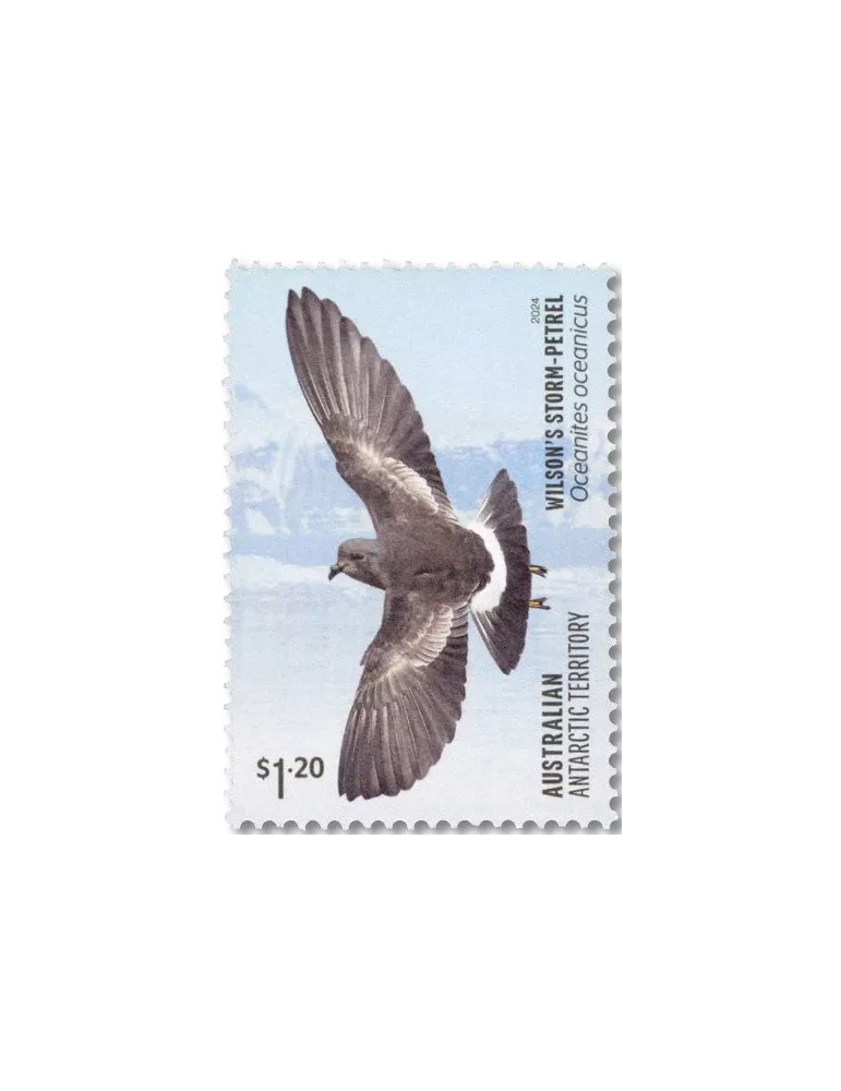 n° 297/300 - Timbre TERRITOIRE ANTARCTIQUE AUSTRALIEN Poste