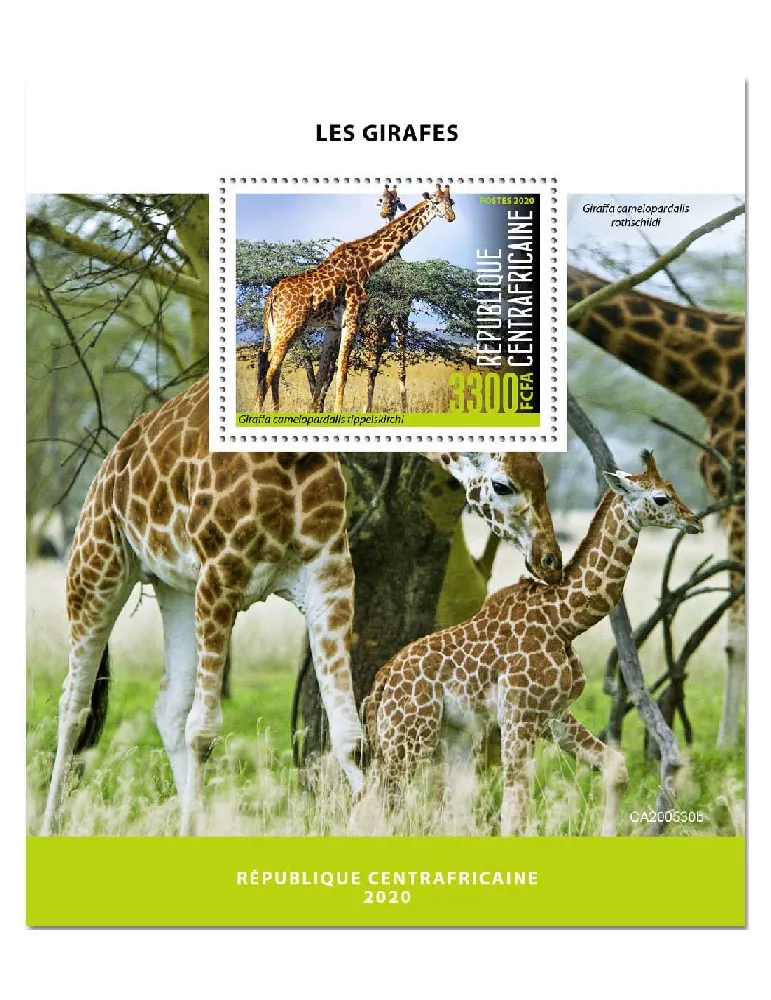 n° 1685 - Timbre CENTRAFRIQUE Blocs et feuillets