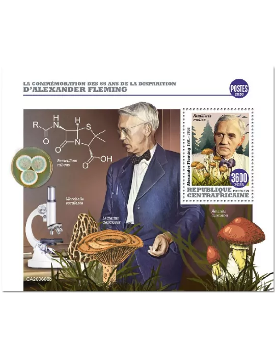 n° 1697 - Timbre CENTRAFRIQUE Blocs et feuillets