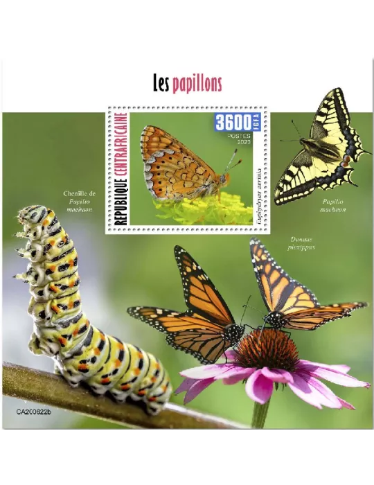 n° 1711 - Timbre CENTRAFRIQUE Blocs et feuillets