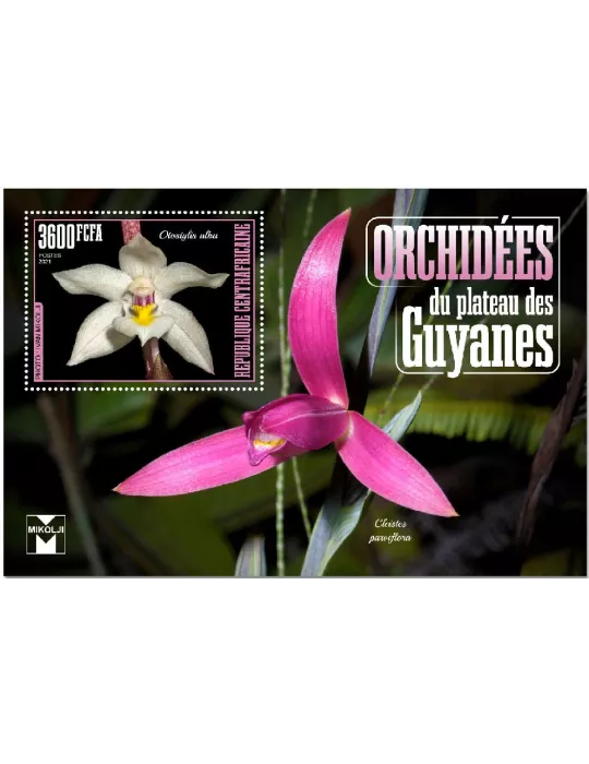 n° 1742 - Timbre CENTRAFRIQUE Blocs et feuillets