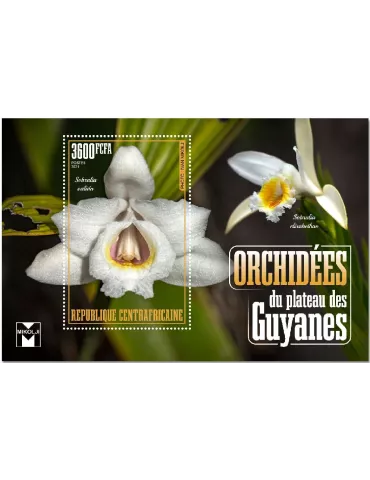 n° 1743 - Timbre CENTRAFRIQUE Blocs et feuillets