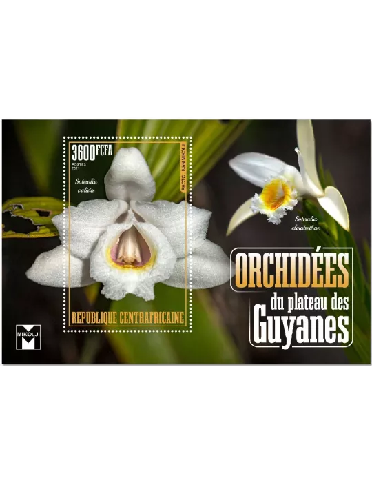 n° 1743 - Timbre CENTRAFRIQUE Blocs et feuillets