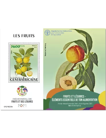 n° 1746 - Timbre CENTRAFRIQUE Blocs et feuillets