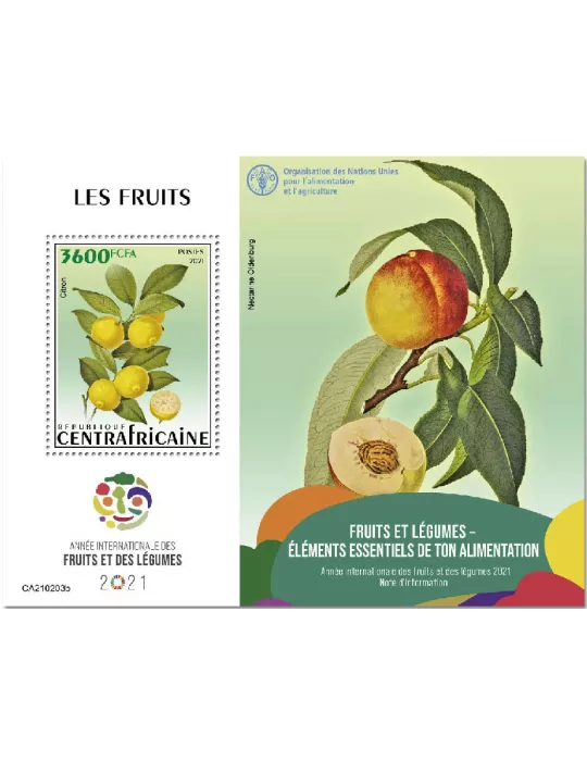 n° 1746 - Timbre CENTRAFRIQUE Blocs et feuillets